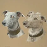 10 bramble and robin greyhound and lurcher