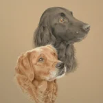 Home 43 megan and amber golden retriever and flat coated retriever