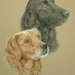 Home 43 megan and amber golden retriever and flat coated retriever alternative