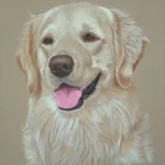 5 ben golden retriever