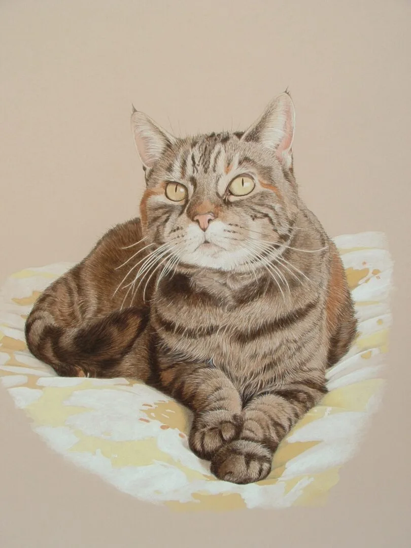 Home 6 smudge tabby