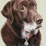 83f3edcb 5c4f 4f8e d0b3 3418cb49ca45 thumb