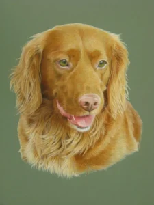 Home ozzy sprocker